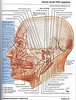 ArticulosdeMedicina.com
