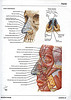 Articulosdemedicina.com