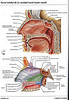 Articulosdemedicina.com