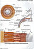 Articulosdemedicina.com