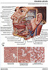 articulosdemedicina.com