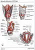Articulosdemedicina.com