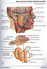 ArticulosdeMedicina.com