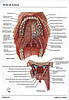 articulosdemedicina.com