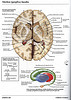 ArticulosdeMedicina.com