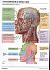 ArticulosdeMedicina.com
