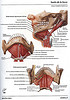 articulosdemedicina.com
