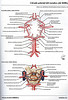 ArticulosdeMedicina.com
