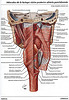 Articulosdemedicina.com