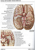 ArticulosdeMedicina.com