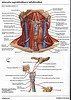 articulosdemedicina.com