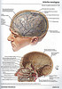 ArticulosdeMedicina.com