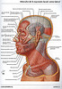 ArticulosdeMedicina.com
