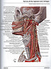 Articulosdemedicina.com