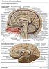 ArticulosdeMedicina.com