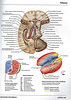 ArticulosdeMedicina.com