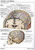 ArticulosdeMedicina.com
