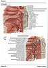 Articulosdemedicina.com