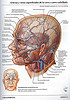 ArticulosdeMedicina.com