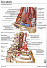 articulosdemedicina.com