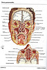 Articulosdemedicina.com