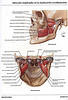 articulosdemedicina.com