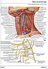 articulosdemedicina.com