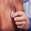 El EKG no pronostica de manera contundente el riesgo cardiaco