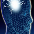 Descubren un gen asociado con la epilepsia