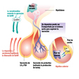 Enfermedades pulmonares ambientales