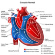 Estenosis mitral