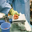 Estenosis pulmonar con tabique interventricular
