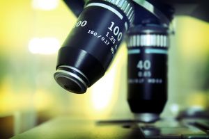 5 Mitos Comunes Sobre la Diabetes!